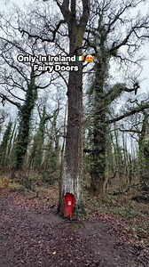 Only In Ireland🇮🇪😍 "Fairy Doors "Have You Spotted These Tiny Doors In Irish Forests?🇮🇪🧚‍♂ In Ireland, small Doors Are Sometimes Placed On Trees In Forests.Known As (Fairy Doors) They Are Meant To be Homes Or entryways For Fairies. #ireland #Irish #fairies #fairytale #fblifestyles #forests #irishforests #nature | Hashel Thilanka
