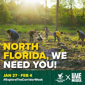 Calling all North Floridians 🚨 Your Florida State Parks need you!! Sign Up at the link below to join the Florida State Parks Foundation and Live Wildly to volunteer at a state park near you! 📸 Florida State Parks | Live Wildly