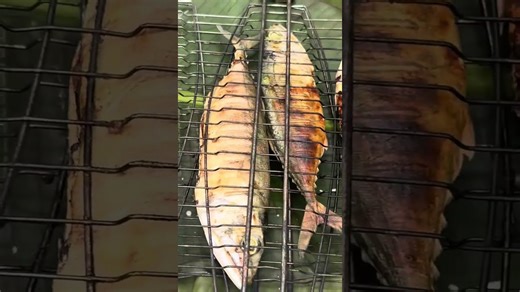 Papua New Guinea Seafood Adventure!