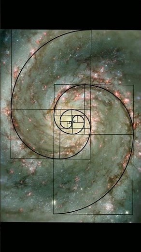 The Fibonacci sequence can also be found in the universe and nature! #universe