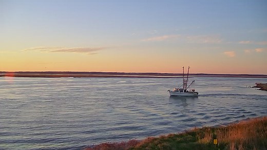 Have you watched our new webcam located at Curtis Merritt Harbor yet? Here is a beautiful view from last night. Watch your happy place 24/7/365 at https://www.chincoteaguechamber.com/chincoteague-live-webcam | Chincoteague Chamber of Commerce and Certified Visitor Center