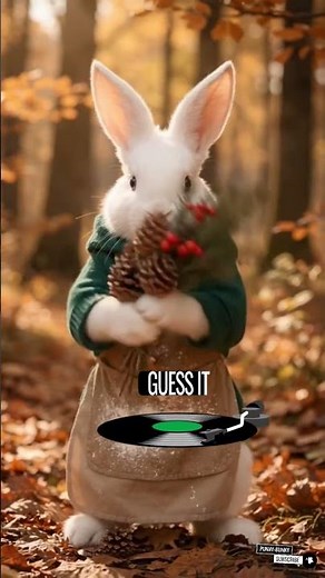 Viral Comedy #Punny Bunny #jokes #comedy #dadjokes