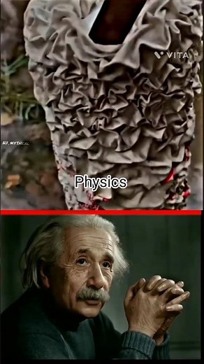 How solvent-based paint removers work..!☠️#Shorts #physicsteacher