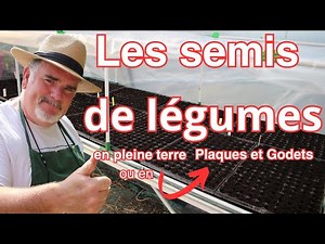 Semer vos Légumes en 6 Étapes Faciles. En Godets, Plaques, bacs et en Pleine Terre