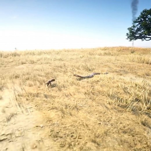 50K views · 471 reactions | squirrel Impossible escape from Snake | Kesari Gaming | Facebook