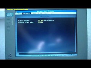 Siemens Scenic Mobile 300