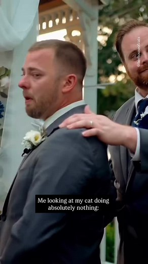 892K views · 91K reactions | I can’t be the only one who would react this way… #blackcat #blackcatsrule #blackcatlover | Her house of cats | Facebook