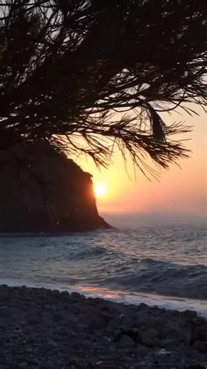 আসাদুল মিয়া (@user8317734559867)’s videos with original sound - Shumi 1740