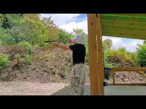 Phoenix Arms HP22 with a homemade suppressor