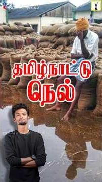 தமிழ்நாட்டு நெல் நிலை #shorts #tamilnadu #seeman