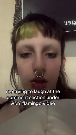 Me Forcing Myself to Laugh at Flamingo Videos