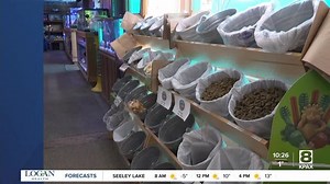 Adoption event bringing animals to Kalispell to find them homes for the holidays