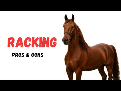 Racking Horse Horse Pros and Cons -Racking Horse Advantages and Disadvantages
