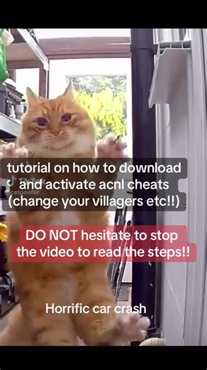 Tutorial sobre cómo activar trucos en ACNL
