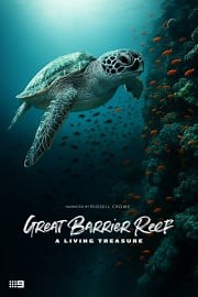 Watch Great Barrier Reef - A Living Treasure | Narrated by Russell Crowe Season 1 Episode 4 - Coral Sea