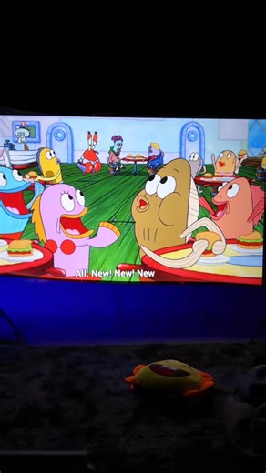 Upgrade Your Projector Experience with a Premium Screen