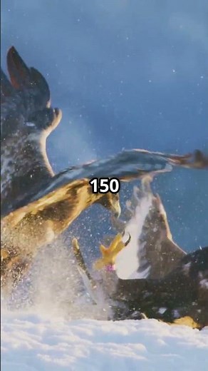 Owl vs Hawk | Night vs Day Predator #wildlifeshorts #animalfacts #animals