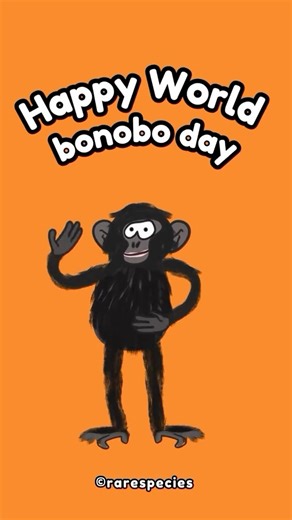 @rarespecies.wild on Instagram: "Who needs Valentine’s dates when you have Bonobo dance moves? Tomorrow, Celebrating our closest primate cousins for World Bonobo Day! These incredible, peaceful apes share 98.7% of our DNA—which totally explains the rhythm. Let’s raise some awareness for these endangered groove-makers today. 🌿✨ #worldbonoboday #bonobos #dancingmonkey #wildlifeart #apeconservation"