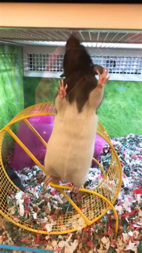 wewearcute on TikTok