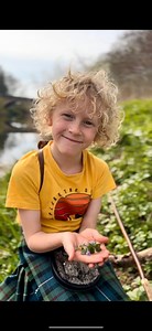 37K views · 2.1K reactions | Arthur 戮 found a funky-fresh, edible spring plant this week - it’s Ground Ivy!Ground ivy is a strongly aromatic member of the Deadnettle family that was traditionally used as a bittering agent in beer craft. It has a pungent smell, reminiscent of a certain herb medicinal and recreationally 﫣  Glechoma hederacea, Ground Ivy #foraging #nature #foraged #forage #forager #groundivy #arthur | The Grizzly Forager | Facebook