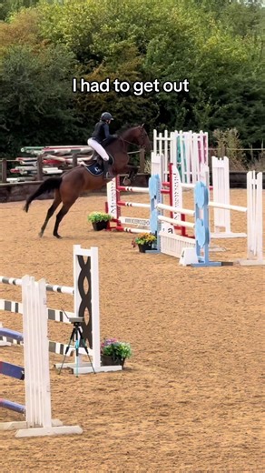 Emotional Journey with My Show Jumper Mare