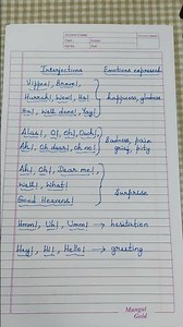 Interjections and Emotions expressed.