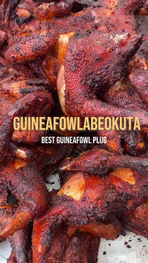 We are always available to receive your orders🥳 #CapCut #guineafowloftiktok #guineafowlabeokuta #foryoupage❤️❤️ #guineafowlinabk