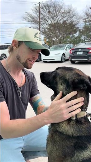 Talk of the day #dog #dogs #puppy #puppies #dogshorts @tangotboy