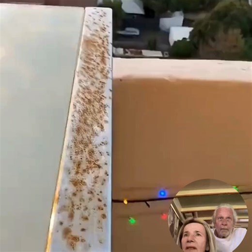 Remi Mills Groover on Instagram: "Easy DIY Rust Remover #tinfoil #aluminumfoil #rust #diy"