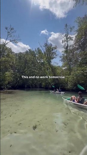 A wild Florida kind of Summer on the Weeki Wachee 🌊🐬