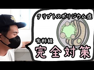 爬虫類をクリプトスポリジウム症に１００%させない方法