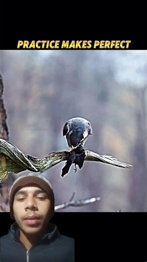 “Falcon Locks Target… and the Sky Turns Deadly ⚡🦅”