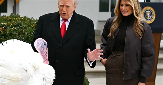 Meet the turkeys getting presidential pardon