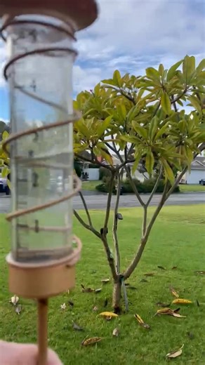 Monday morning rain almost 3” Plus the 5” Almost 8”. And more rain to come | Tony Gutierrez