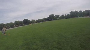 Growing the sport of ultimate frisbee in West Michigan