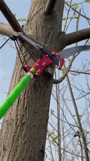 No Ladder Needed! Long Reach Tree Pruning Tool
