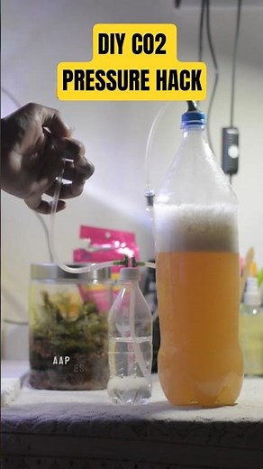 DIY CO2 Pressure Control Hacks: Stop your Tanks from Turning Deadly #plantedtank #diyco2 #fishtank