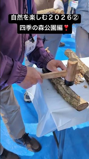 緑区生涯学級！「自然を楽しむ」講座第二階目！四季の森公園！#横浜市緑区 #自然観察 #まち歩き