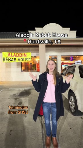 Delicious Food Review at Aladdin Kebab House, TX