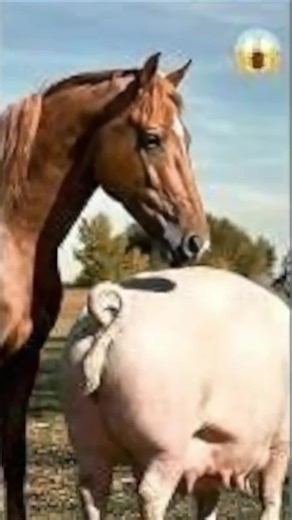 Merging horse and pig DNA... 🧪 The result is absolutely UNREAL. 😱 Nature has a new secret you won't believe. Watch the FULL reveal on my profile! 🐴🐷✨#KaramZoo #AIArt #AnimalHybrid #Mystery #NatureSecrets #Christmas2025 #ScienceFiction #FYP #ViralVideo