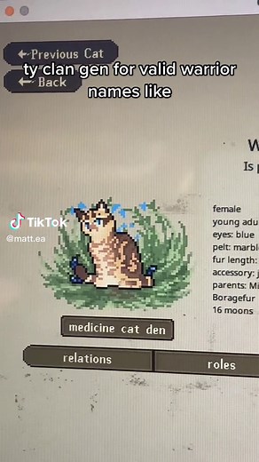 Warrior Cats Name Generator: Valid Warrior Cat Names