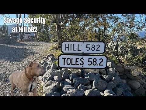 Savage Security Welcome to Hill 582 — UP Manifest Horn Salute + Z Train Maersk Reefers