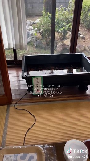 この後、各家族で金魚持ち帰りした#おうち縁日#金魚すくい