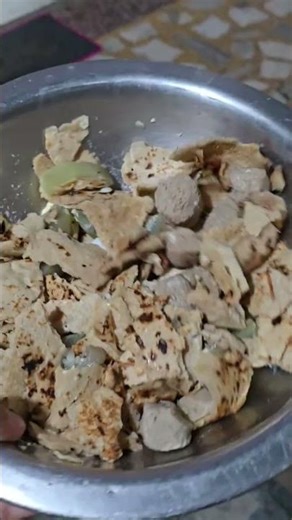 PART=19 GSD DIET #germanshepheard #diettips #homadefood #dogcare #trendingshorts #viralshort