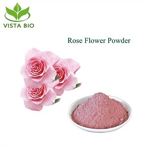 [Hot Item] 100% Natural Rosa Rugosa Flower Powder Rose Flower Extract for Skin Care
