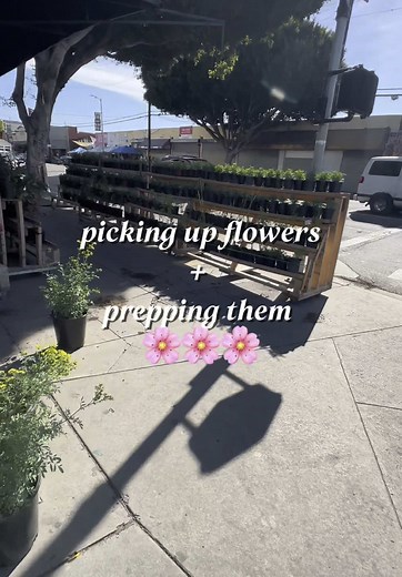 Exploring the LA Flower District: A Floral Adventure