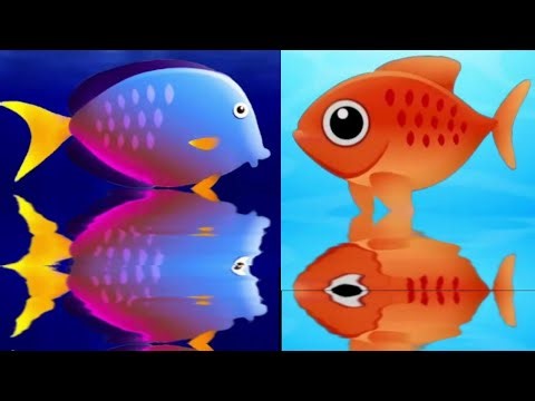 Fish Animation | Fishes Peaceful Undersea