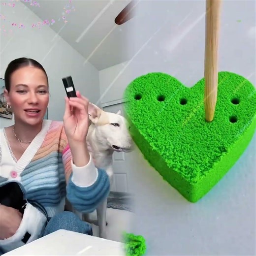 My dog has a better backpack than me 🐶🎒