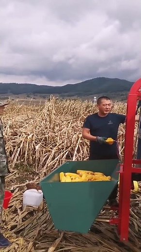 #foodproduction #amazingmachinery #foodbusiness #agriculture #machinerychannel #farm #farmlife