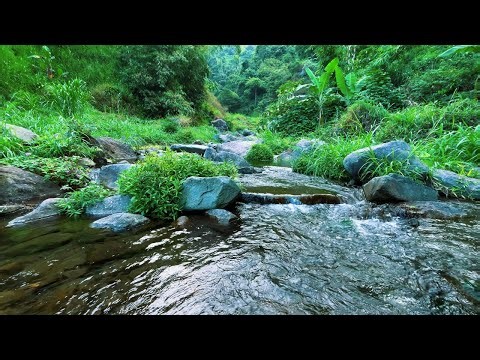 Water Sounds for Sleeping Deep Sleep Aid with Pure Flowing Water to Experience Deep Night Relaxation